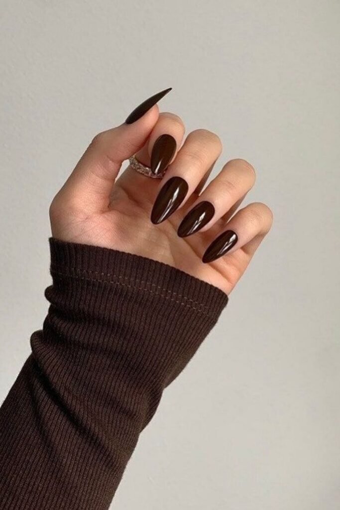 Glossy Dark Chocolate Stiletto Nails