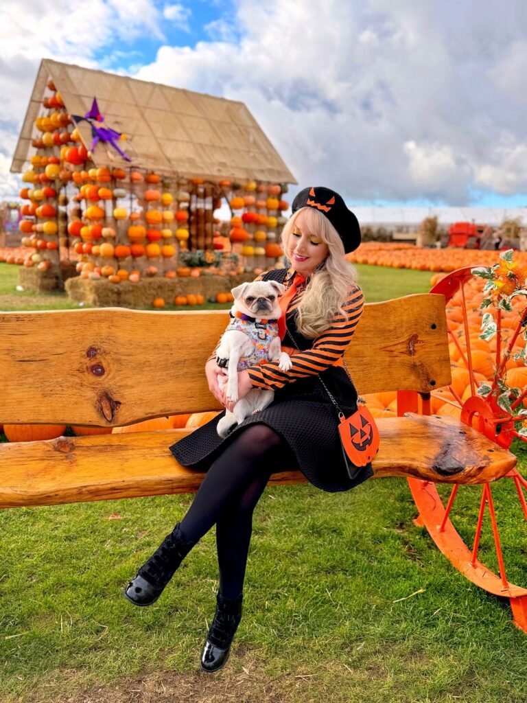 Orange and Black Stripes, a Novelty Beret, and a Pumpkin Bag