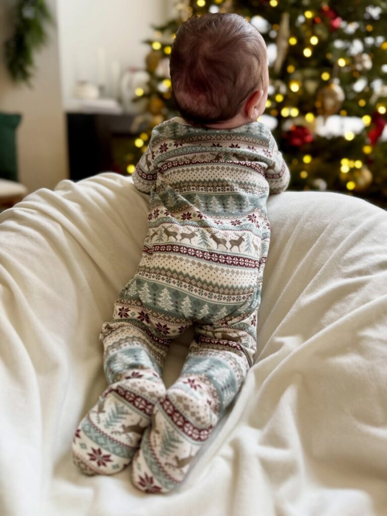 Nordic Fair Isle Sleeper for Quiet Tree Photos